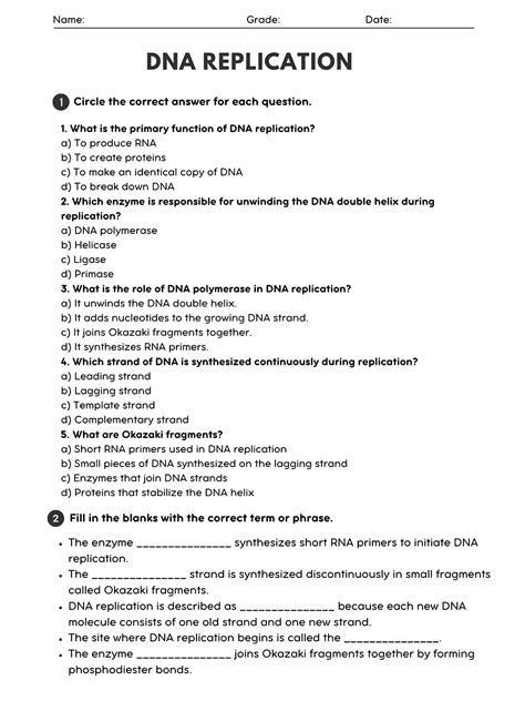 Dna Replication Worksheet Answer Key Biology Kidz Activities