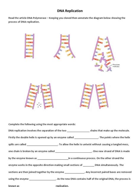 Dna Replication Worksheet Form - Fill Out and Sign Printable PDF