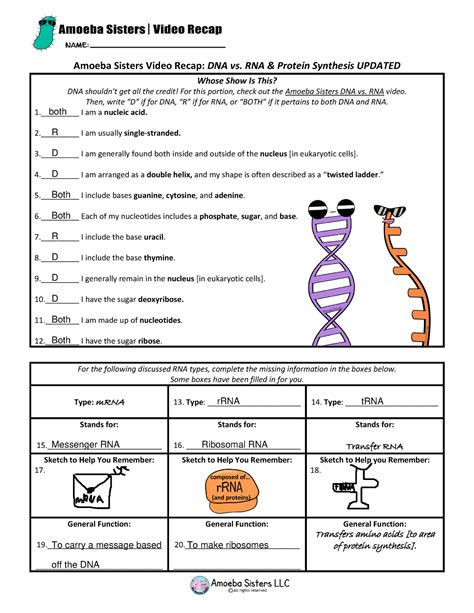 Dna Rna And Protein Synthesis Worksheet Answer Key