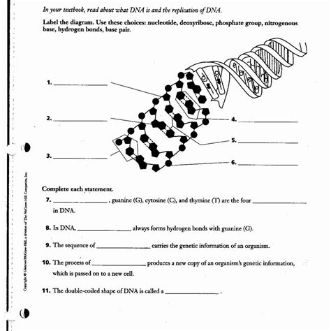 Dna To Protein Worksheet Answers