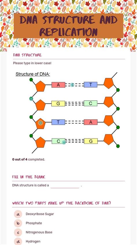 Dna Worksheet Structure Of Dna And Replication