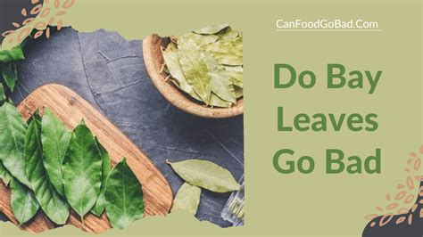 Do Bay Leaves Go Bad