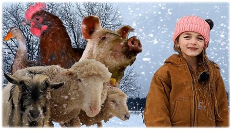 Do Farm Animals Get Cold