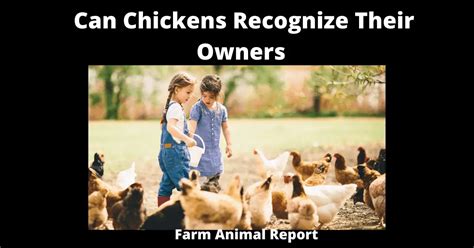 Do Farm Animals Know Their Owners