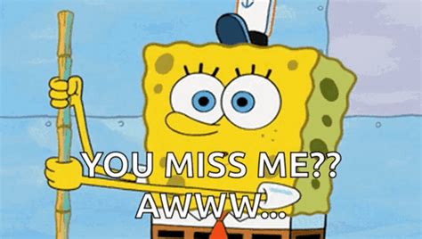 Do You Miss Me Now Meme