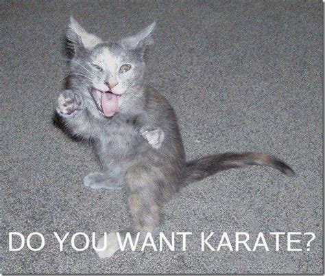 Do You Want Karate