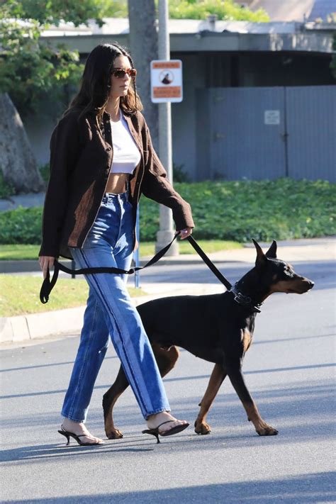Doberman Pinscher Kendall Jenner Dog Breed
