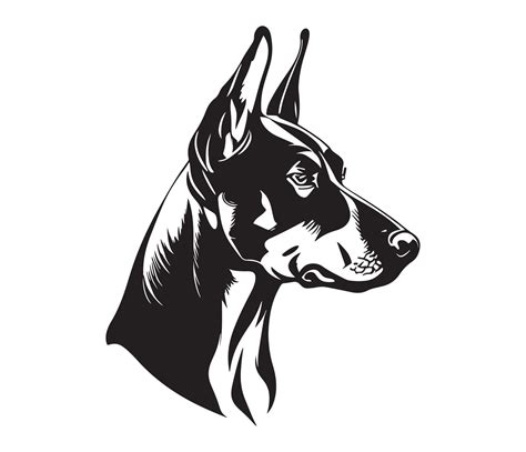 Cartoon Of A Doberman Art Illustrations, RoyaltyFree Vector Graphics