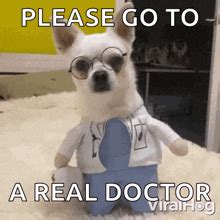 Doctor Dog Meme