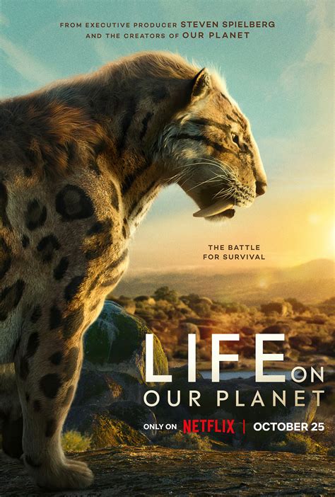 Documentary Tv Shows On Netflix