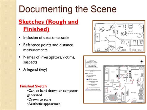 Documenting the Scene and Timing