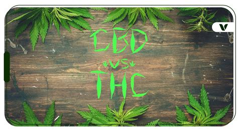 Unlock the Healing Power of CBD: Discover How it Penetrates Your Skin to Soothe and Revitalize Your Body