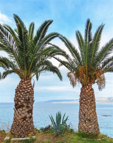 Crete's Top 6 Natural Wonders | Kids Love Greece