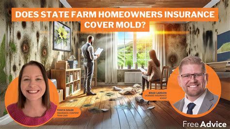 Does Homeowners Insurance Cover Mold State Farm