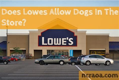 Does Lowes Allow Dogs 2024 - Adore Melisent