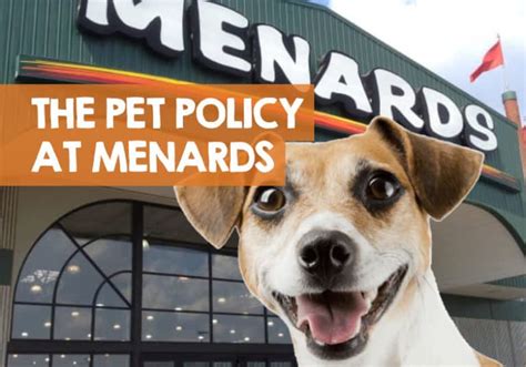 Dog-Friendly Menards: Are Canine Companions Allowed in Store?