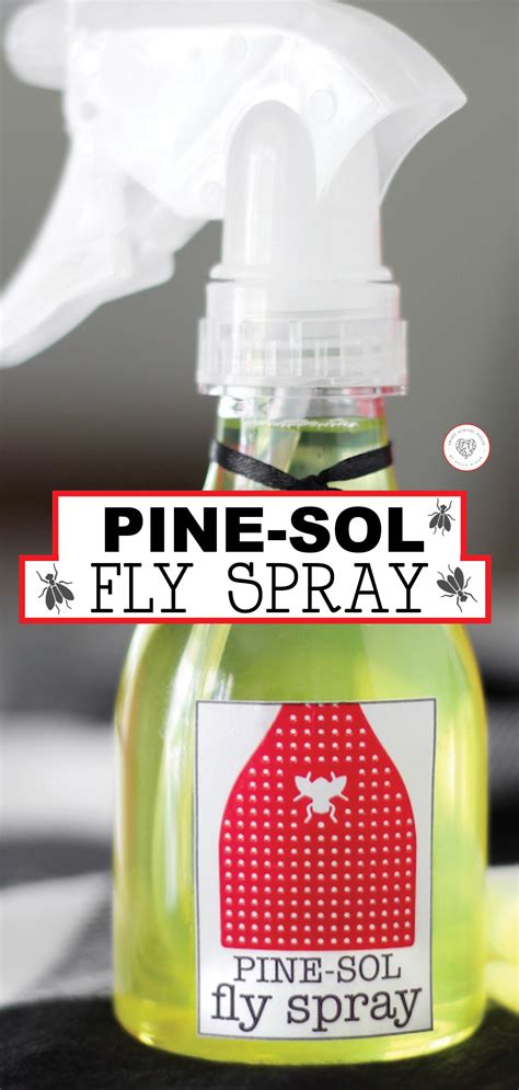 Does Pinesol Actually Work as a Fly Repellent