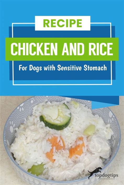 Does Rice Help Dogs Stomach