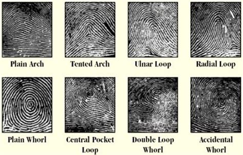 Does State Farm Bank Have Fingerprints For Identification