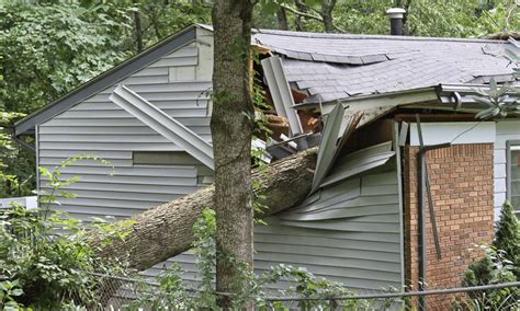 Does State Farm Cover Fallen Trees