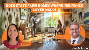 Does State Farm Cover Mold And Termite Damage