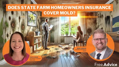 Does State Farm Cover Mold Remediation