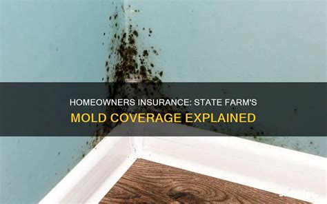 Does State Farm Cover Mold Removal
