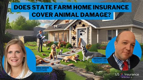 Does State Farm Cover Racoon Damage