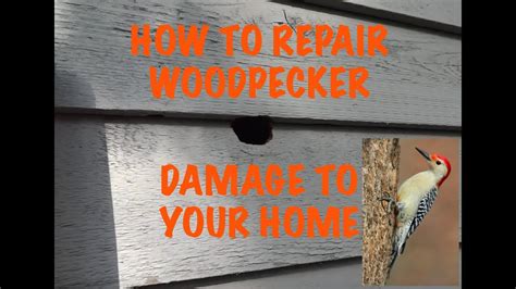 Does State Farm Cover Woodpecker Damage