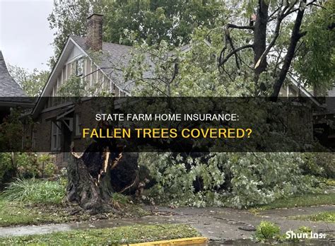 Does State Farm Homeowners Insurance Cover Tree Damage