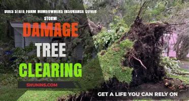 Does State Farm Homeowners Insurance Coverage Tornadoes