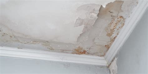 Does State Farm Renters Insurance Cover Mold Damage