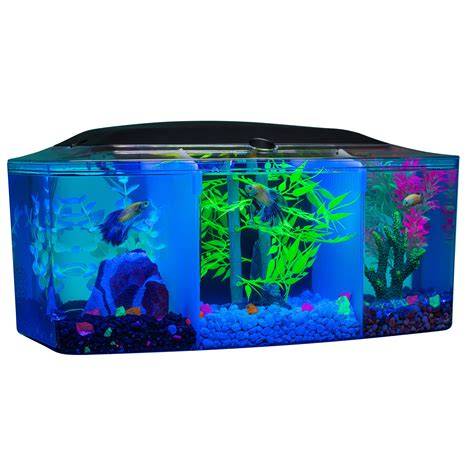 Does Walmart Sell Betta Fish