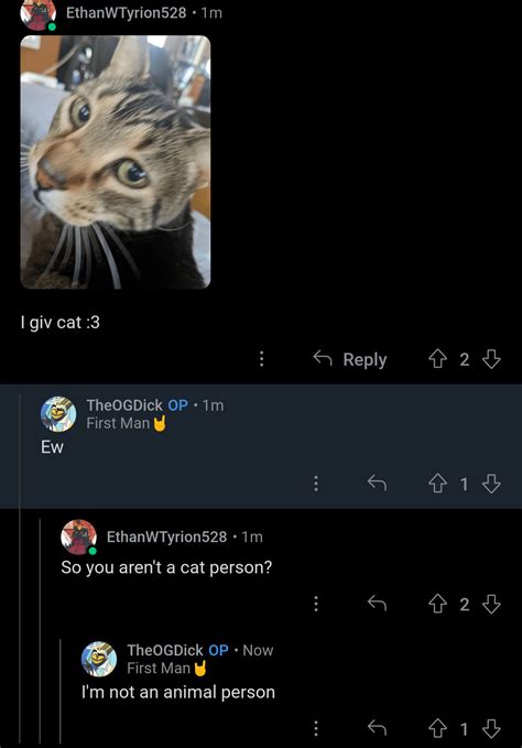 Does not like Animals