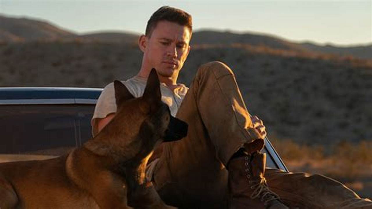 Dog (2022) Inspiriert Von Eigenen Erlebnissen Schildert Schauspieler Channing Tatum In Seinem Regiedebüt, Wie Ein Traumatisierter Veteran Und Ein Angeschlagener Vierbeiner., 2024