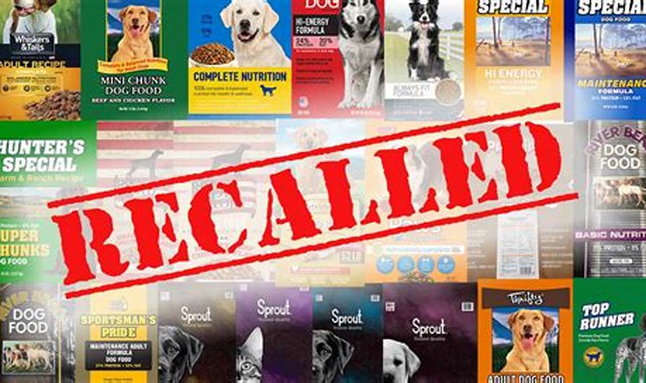 Dog And Cat Food Recall 2024