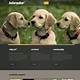Dog Breeder Website Templates