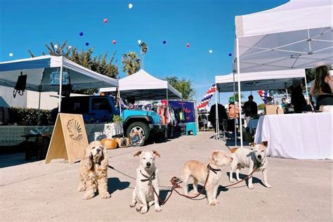 dogfriendly events in Los Angeles Fitdog