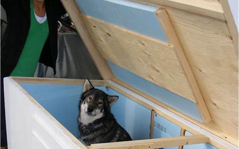 Dog House Insulation