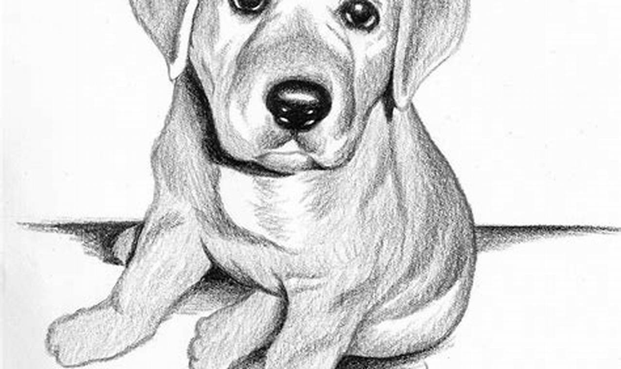 Dog Pencil Art: Furry Friends Immortalized in Graphite