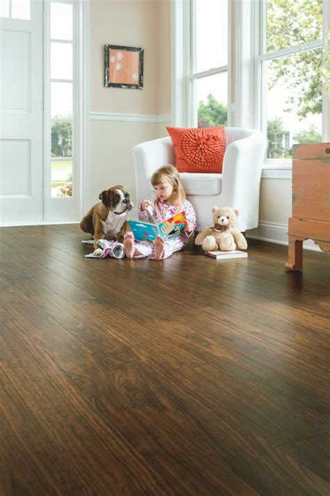 How to Choose DogFriendly, Scratch Resistant Engineered Hardwood Flooring