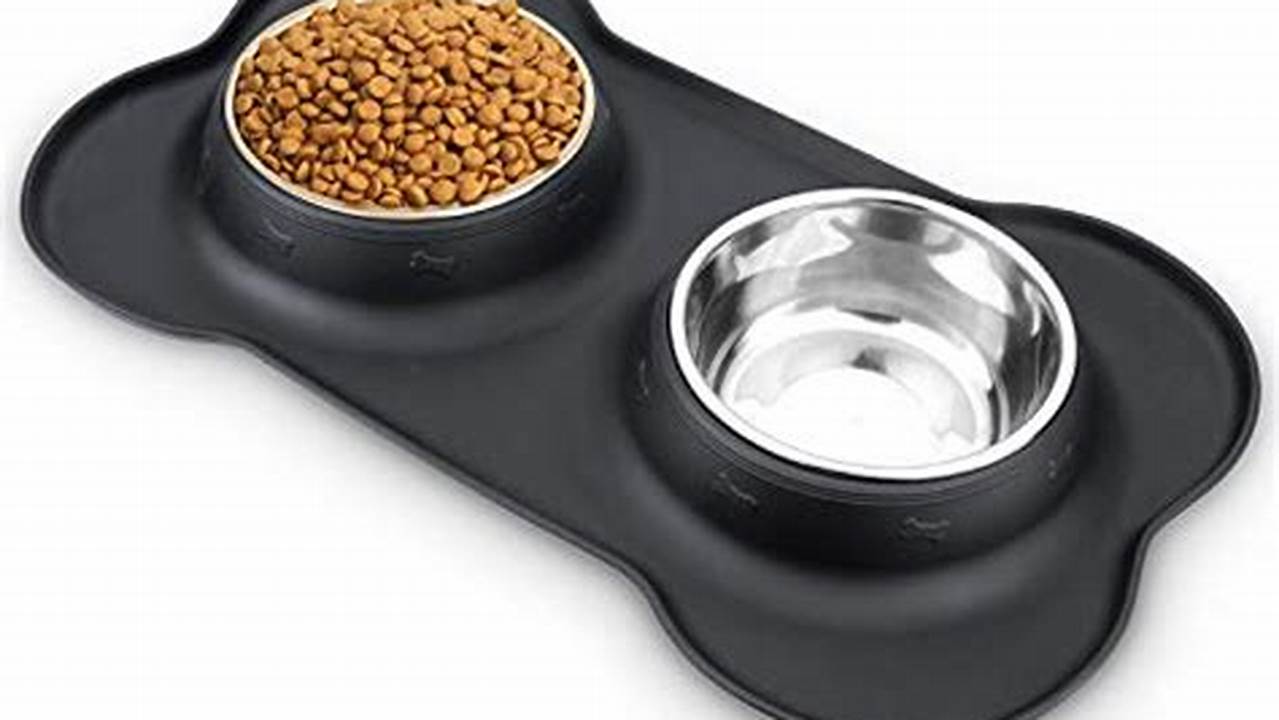 Dog Bed And Food/water Bowls, Pet Friendly Hotel