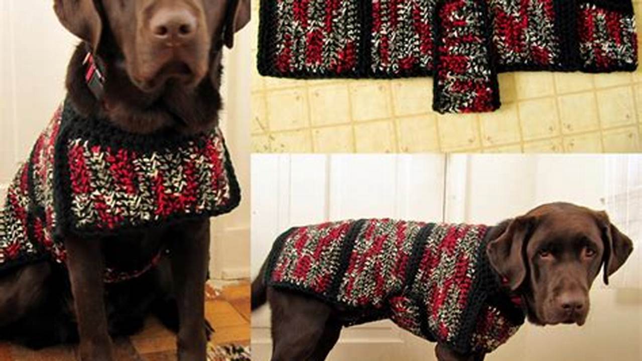 Dog Coats And Sweaters, Articles