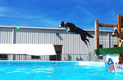 Canine Dock Diving Pool Teamworks Dog Training llc