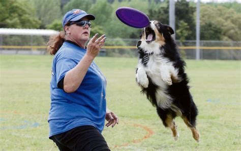 Frisbeecatching dogs compete for international fame in Valley Center