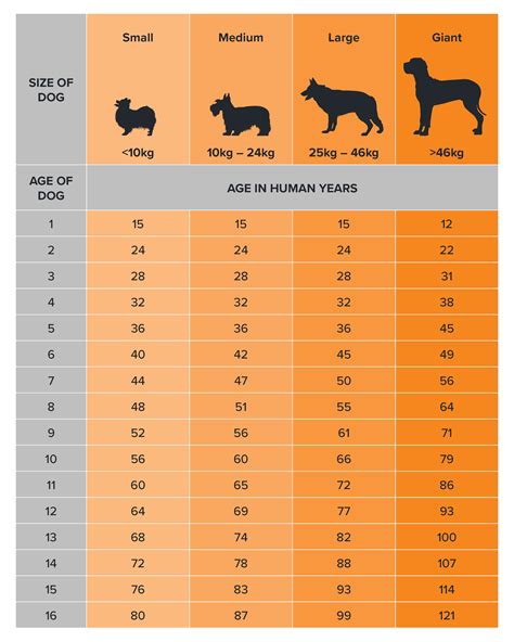 Dog Age Chart By Breed