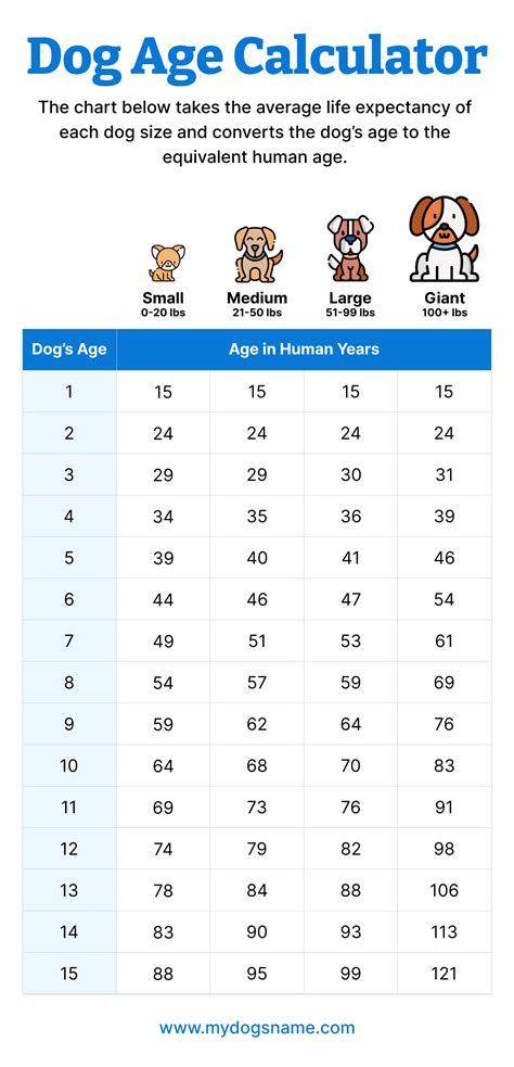 Dog Age Converter