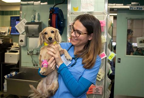 Dog Awareness Days 2024