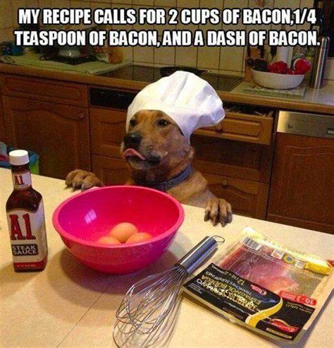 Dog Bacon Meme