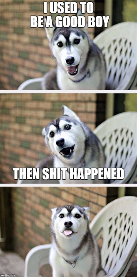 Dog Bad Boy Meme